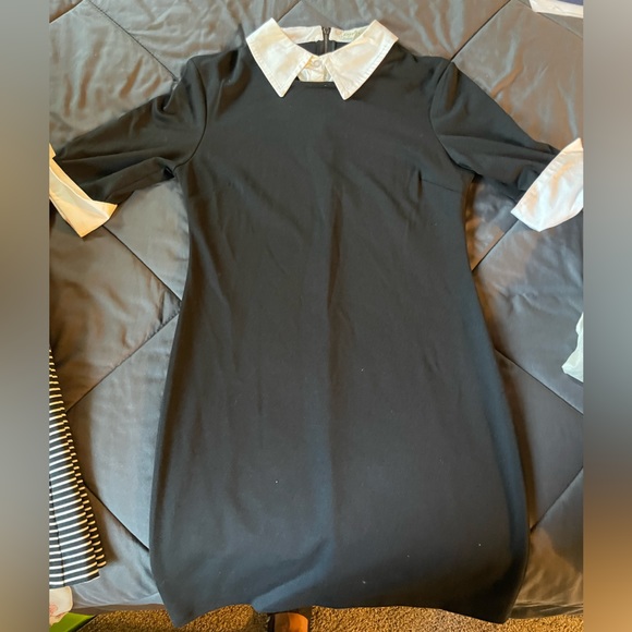 Kingston Dresses & Skirts - Black dress with white collar